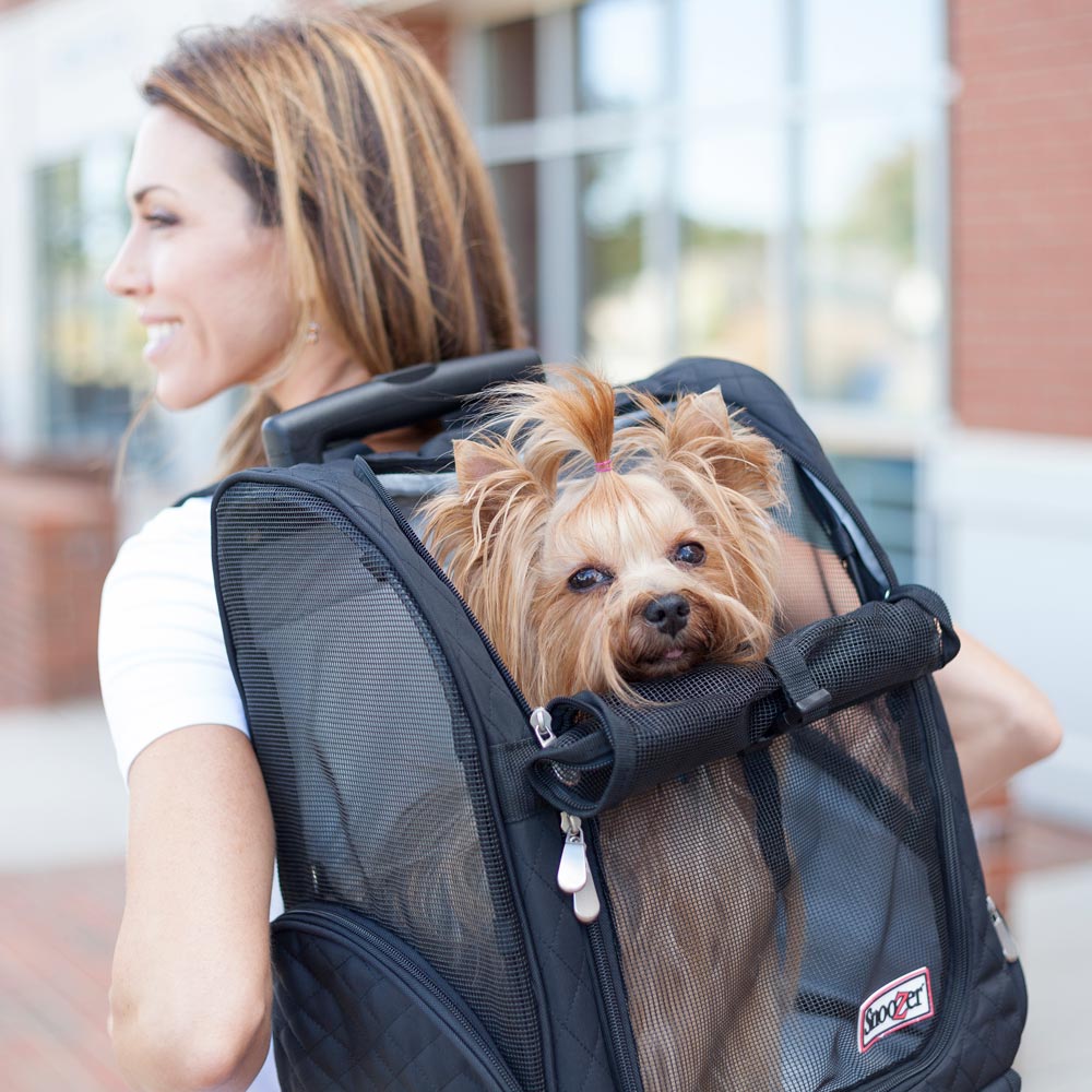 Pet Carriers & Travel
