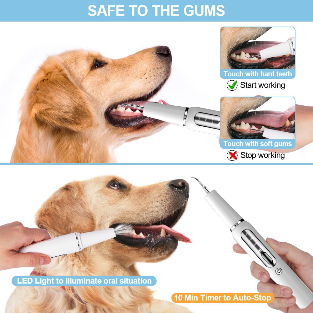 Ultrasonic Pet Tooth Cleaning Device White for Dogs and Cats