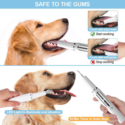 Ultrasonic Pet Tooth Cleaning Device White for Dogs and Cats
