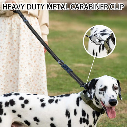 Dog Leash with Shock Absorbing Bungee Dual Handles Metal Clip and Car Seatbelt Black