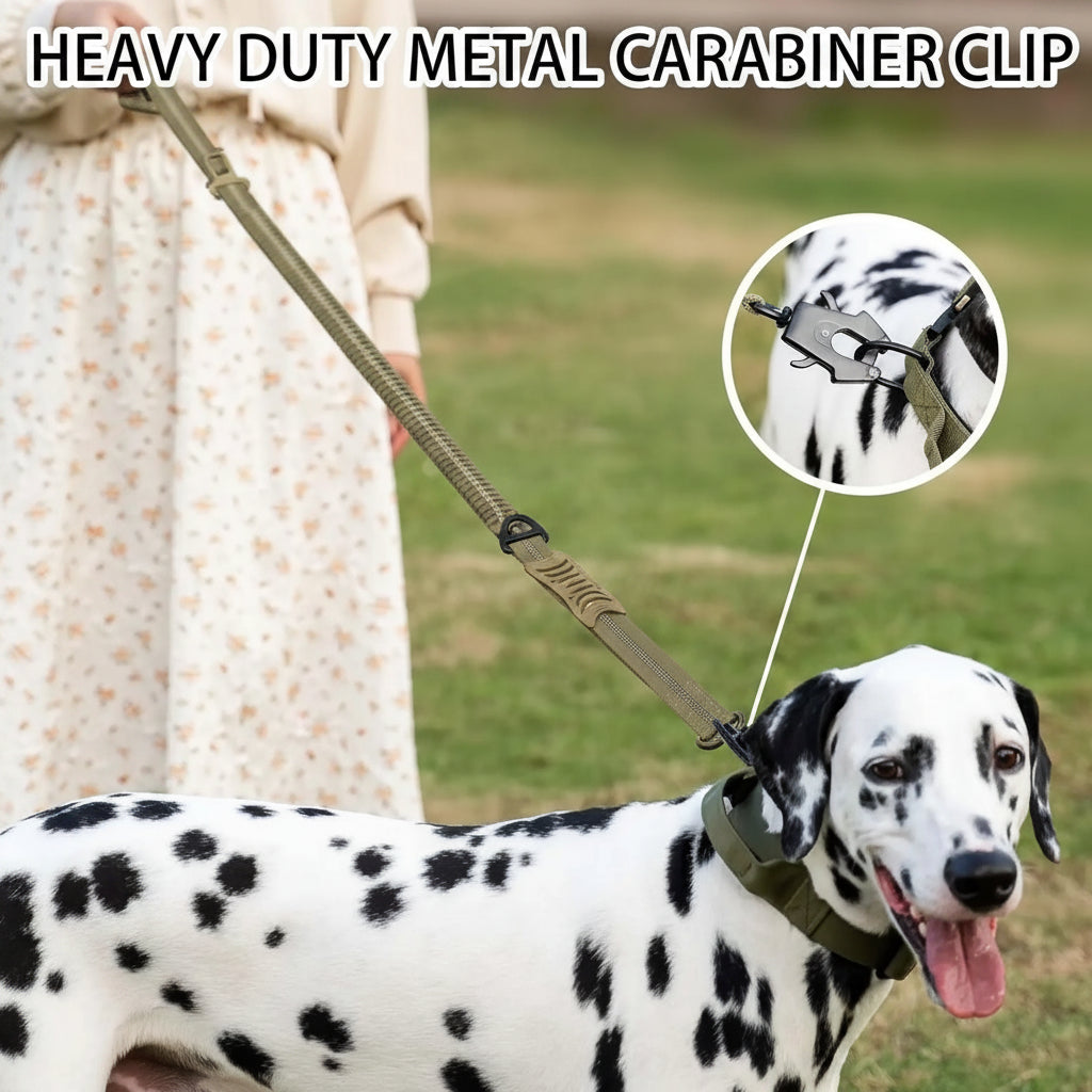 Dog Leash with Shock Absorbing Bungee Dual Handles Metal Clip and Car Seatbelt Khaki