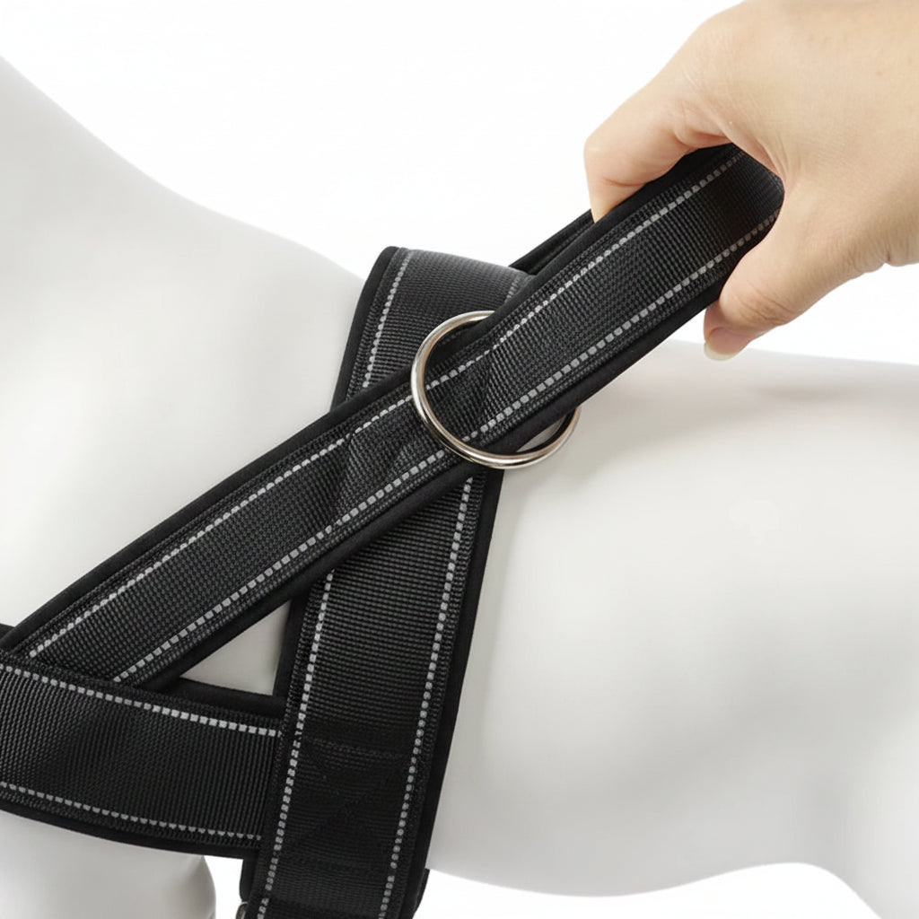 Dog Harness Adjustable Nylon with Handle and Two Leash Buckles XL Black