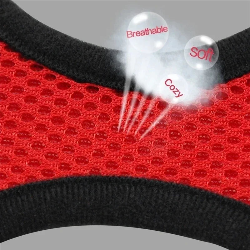 Cat Harness Vest Polyester Adjustable Mesh with 1.2m Leash Small Cat Harness Set