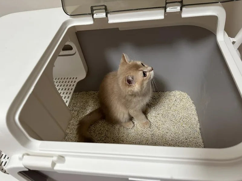 XL Enclosed Cat Litter Box Corridor Design with Detachable Cleaning Structure
