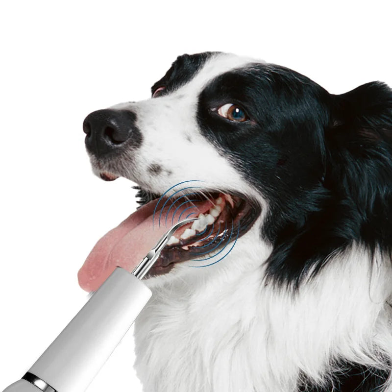 Ultrasonic Pet Tooth Cleaning Device White for Dogs and Cats