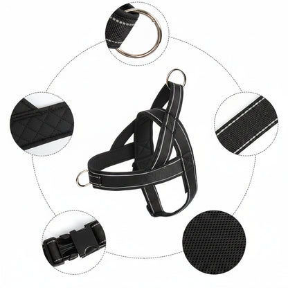 Dog Harness Adjustable Nylon with Handle and Two Leash Buckles XL Black