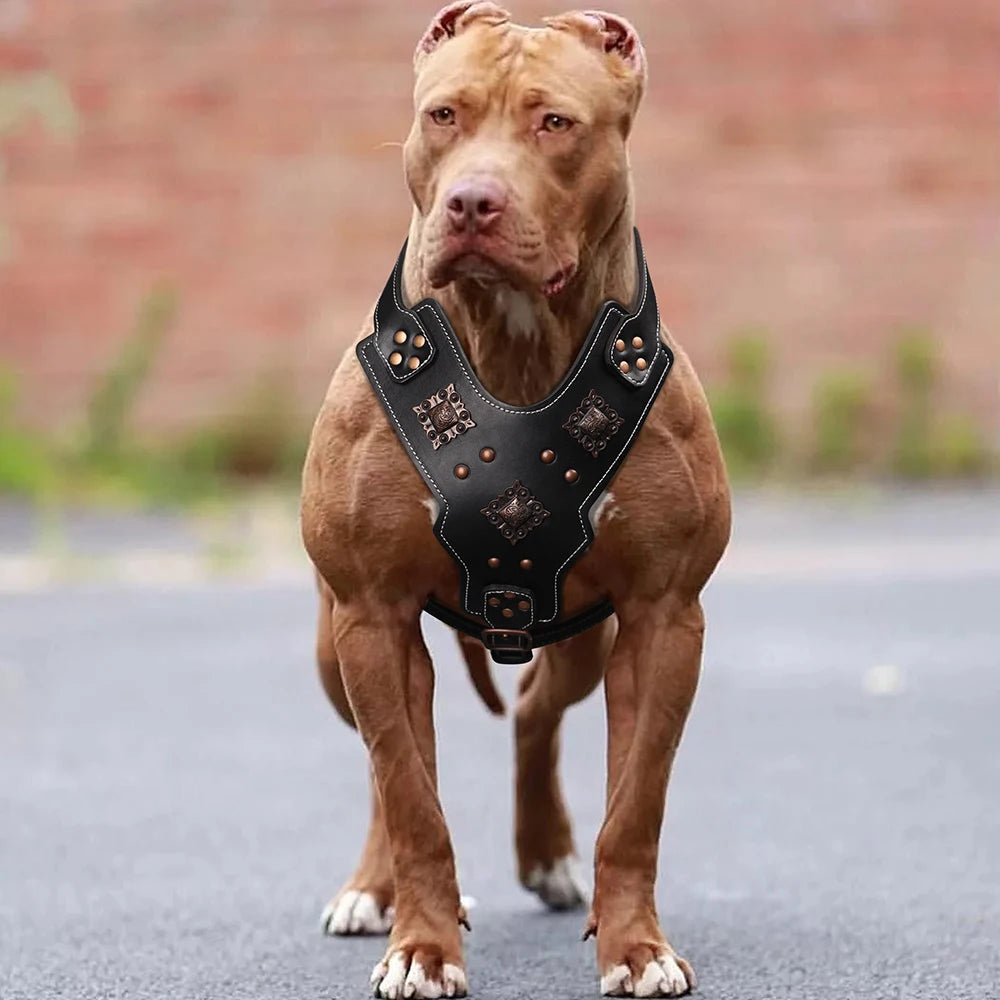 Leather Dog Harness L Adjustable Training Vest with Metal Accessories Black