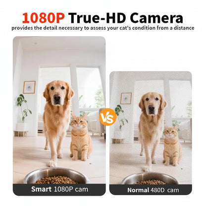 8L Smart Automatic Pet Feeder with HD Camera 5GHz WiFi Dual Stainless Steel Bowls Black