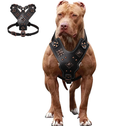 Leather Dog Harness XL Adjustable Training Vest with Metal Accessories Black