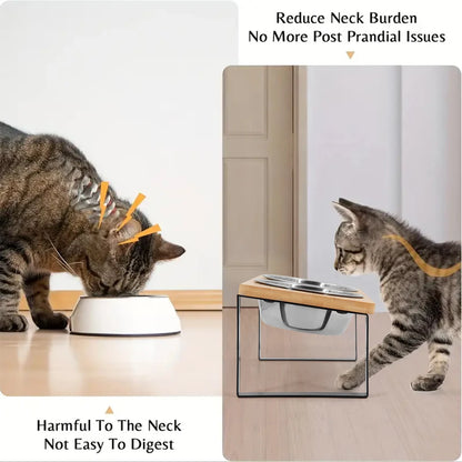 Raised Pet Feeding Bowls with Wooden Stand 15 Degree Tilt Double Stainless Steel Bowls