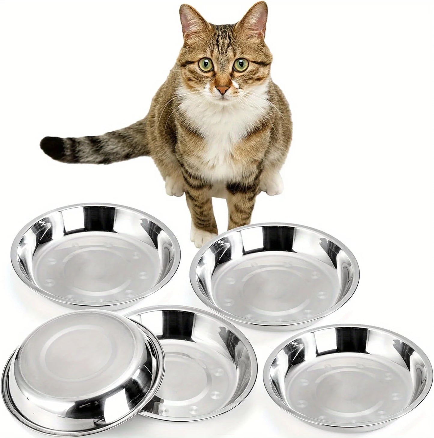 6 Piece Stainless Steel Pet Feeding Bowls Rounded Low Profile Design 16 cm