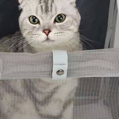 Pet Carrier Backpack for Cats and Small Dogs 32 x 28 x 41 cm Up to 6 kg Black
