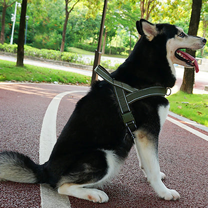 Dog Harness Adjustable Nylon with Handle and Two Leash Buckles XL Black
