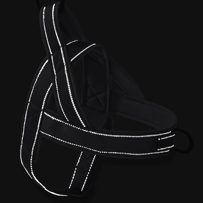 Dog Harness Adjustable Nylon with Handle and Two Leash Buckles XL Black