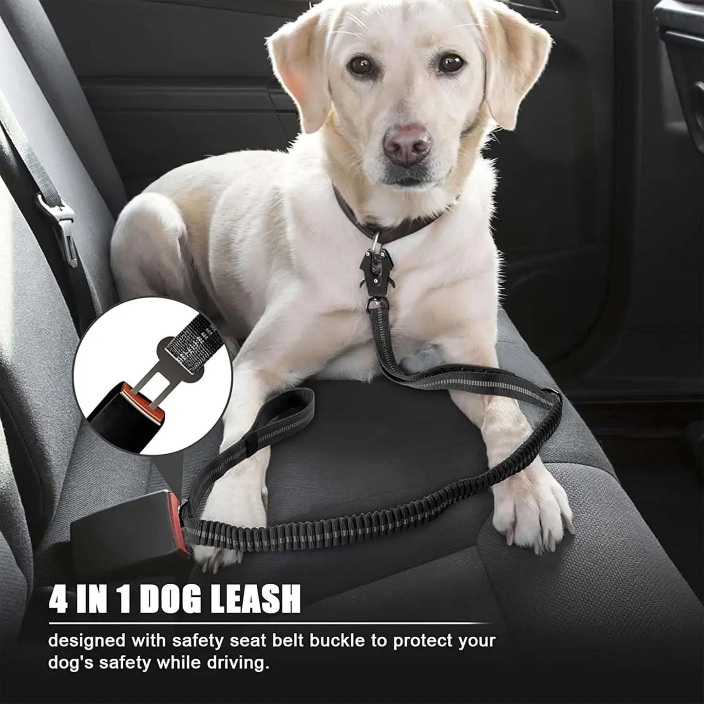 Dog Leash with Shock Absorbing Bungee Dual Handles Metal Clip and Car Seatbelt Black