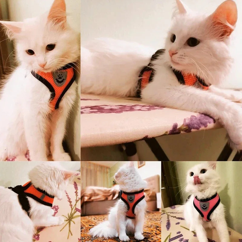 Cat Harness Vest Polyester Adjustable Mesh with 1.2m Leash Small Cat Harness Set