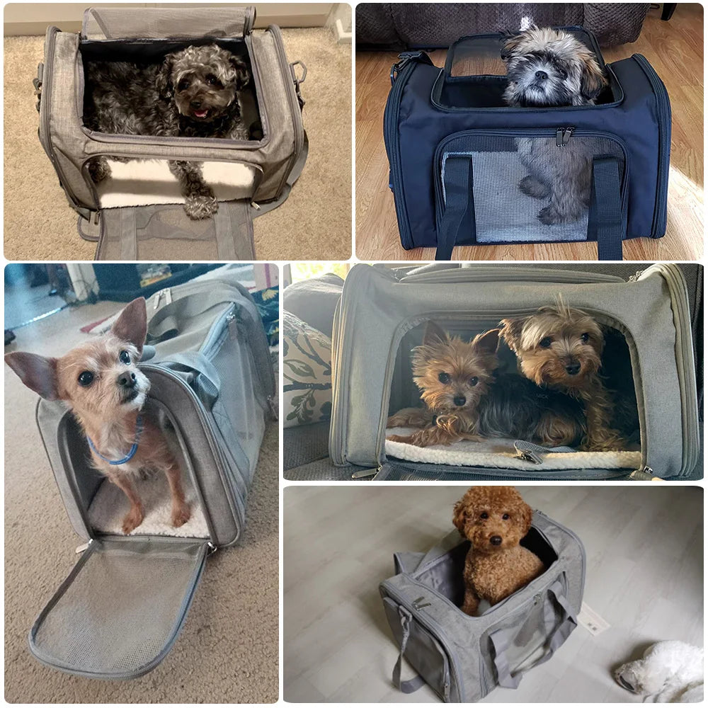 Pet Carrier Bag Soft Sided Polyester Travel Carrier with Mesh Panels M 43 × 28 × 28 cm