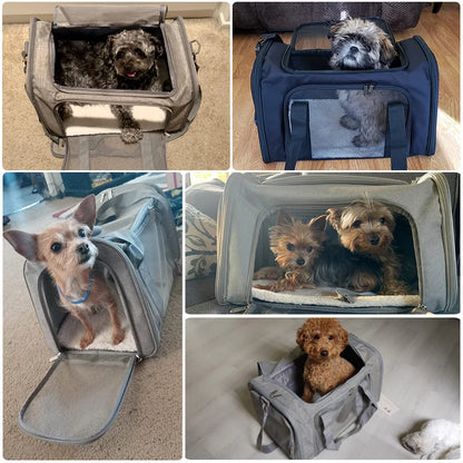 Pet Carrier Bag Soft Sided Polyester Travel Carrier with Mesh Panels M 43 × 28 × 28 cm