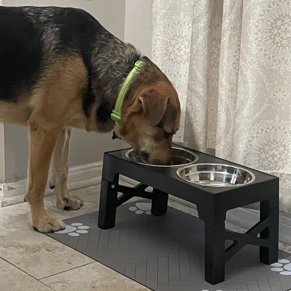Elevated Dog Feeder with Adjustable Stand and Double Stainless Steel Bowls