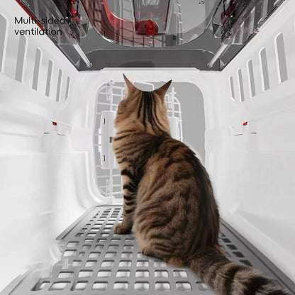 Cat Carrier Small Plastic Travel Carrier with Sliding Door and Top Skylight 49 × 32 × 30 cm