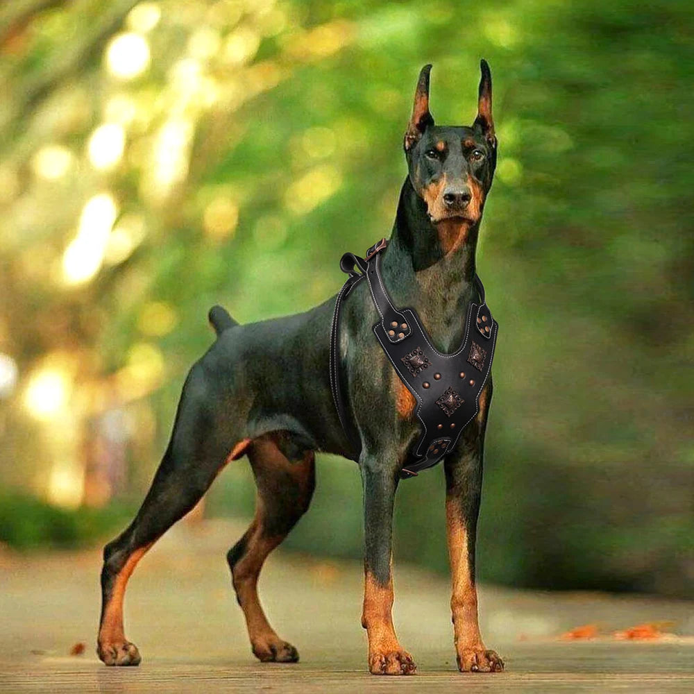 Leather Dog Harness L Adjustable Training Vest with Metal Accessories Black