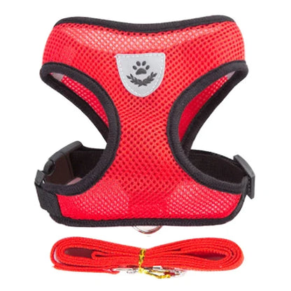 Cat Harness Vest Polyester Adjustable Mesh with 1.2m Leash Small Cat Harness Set