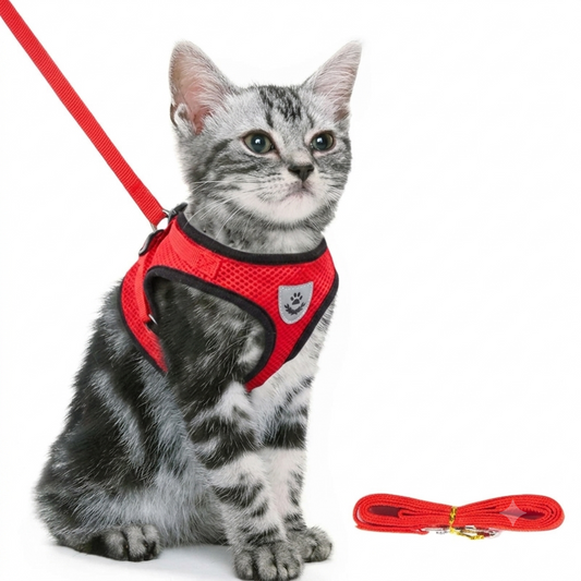 Cat Harness Vest Polyester Adjustable Mesh with 1.2m Leash Large Cat Harness Set