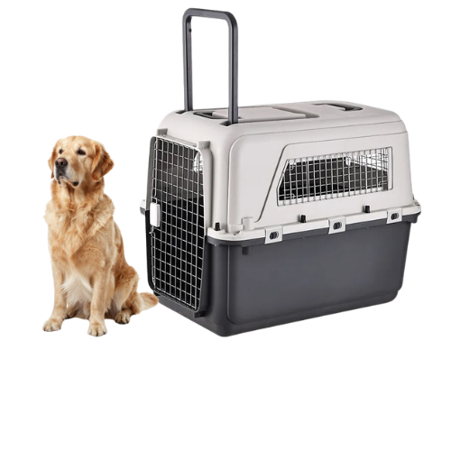 Large Pet Air Box Carrier with Wheels Portable Travel Carrier for Dogs and Cats