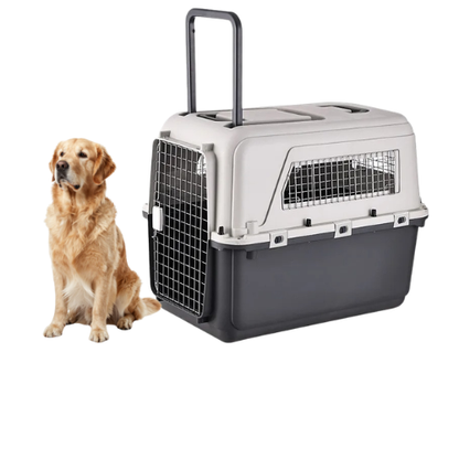 Large Pet Air Box Carrier with Wheels Portable Travel Carrier for Dogs and Cats